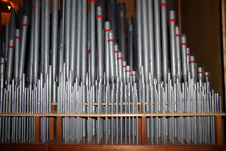BristolCliftonCath2009May_018