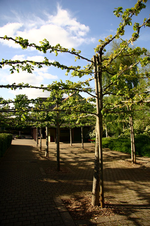 BuckfastAbbey2009May_026