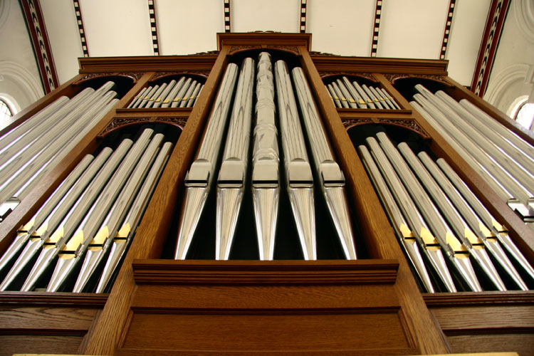 HonitonPC2009May_014