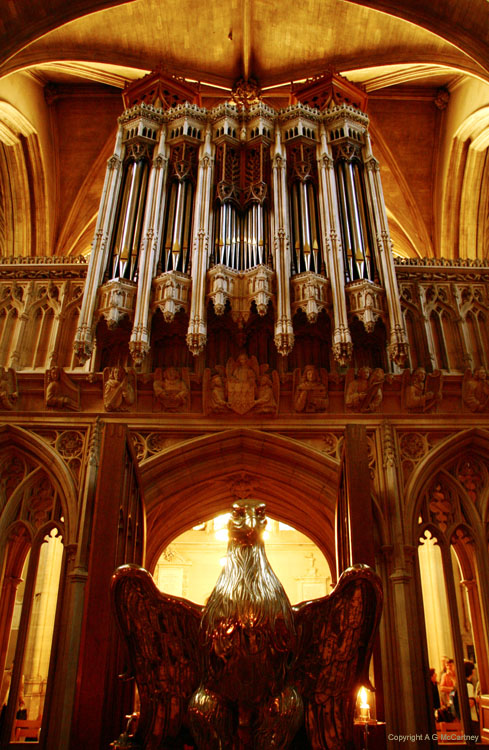 OxfordMagdalenCollege (4)