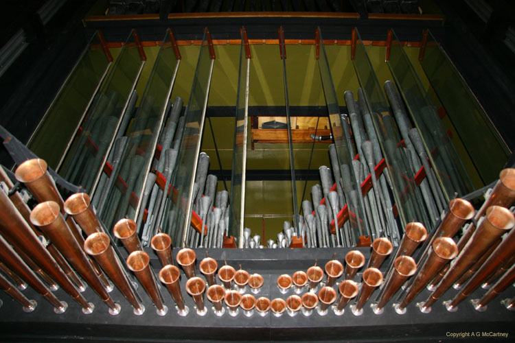 OxfordNewCollege (12)