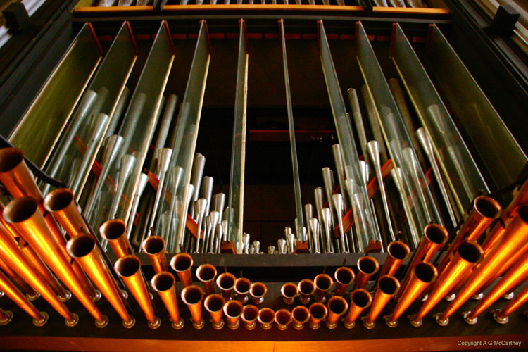 OxfordNewCollege (13)