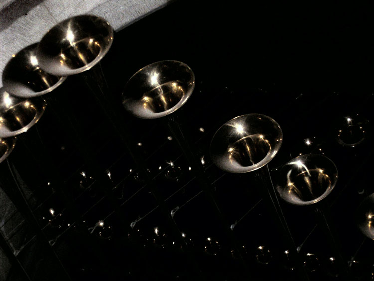 Wimbourne Minster (1)