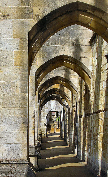 Winchester Cathedral (7)